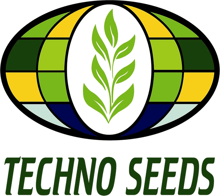 Techno Seeds